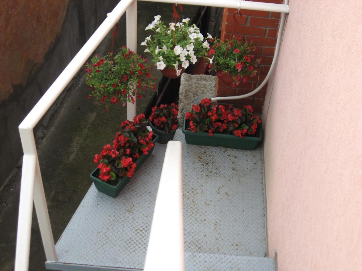 Sweet Apartment Заечар Экстерьер фото